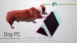 Here's what the future of dog computing looks like | TechCrunch