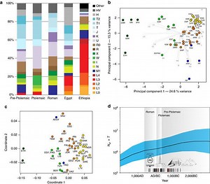 Egypte : Que sait-on de ces Pharaons et ce ces Reines d'ADN Hyperboréen ? (  film 70 mn)  - Civilisation Hyperboréenne & Films