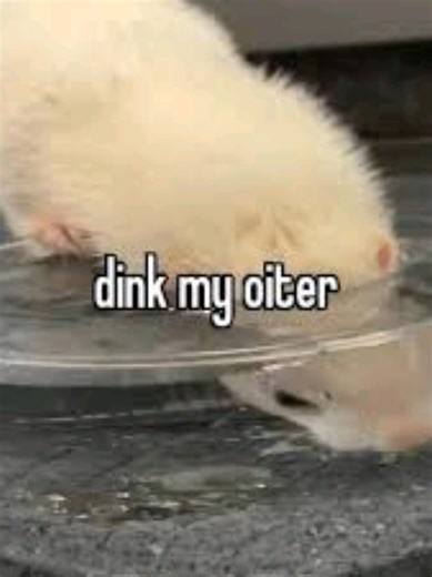 dink your oiter #antiai #fyp #water #ai #funny