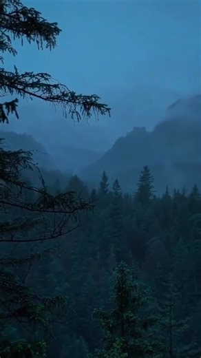 The nature looks mind-blowing in this theme, I love it. #naturephotography#rainday#landscape#clouds#green#viedoediting#videography | NatureViews