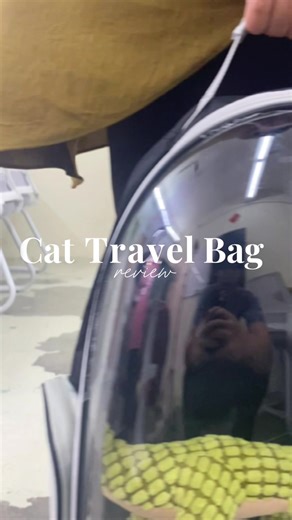 Cat travel bag 🎒 #pettravelbag #petbag #barangkucing #begkucing