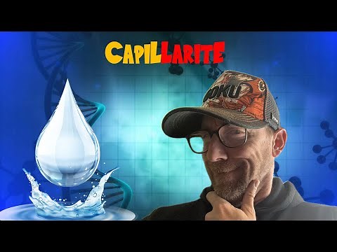 La CAPILLARITE ou comment l'eau remonte dans un tube!!