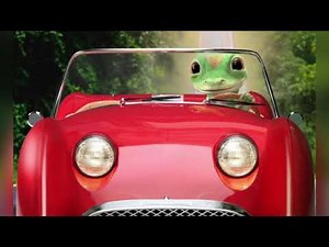 GEICO Gecko Radio Commercial - Bigger In Texas (2007)