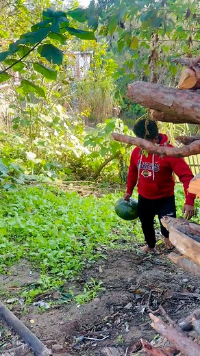 2.8M views · 122K reactions | Deva Thapa Deva Thapa on Reels | Facebook