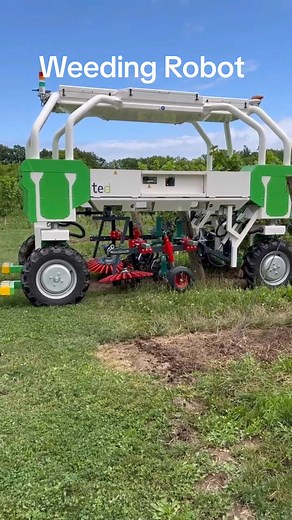 First Test Run Of Weeding Robot TED in Ontario Canada || Made By Naio Technologies Germany || #autonomous #weeding