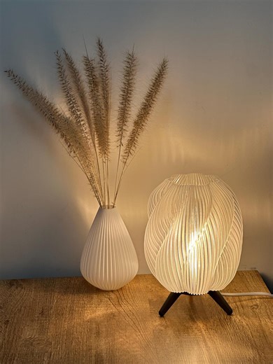 Transparent Swirl Table Lamp – 3D Printed Shadow Art Light, Organic Modern Decor - Etsy