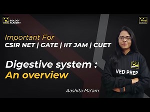 Digestive System for CSIR NET, IIT JAM, GATE & CUET Exam - Biology Academy