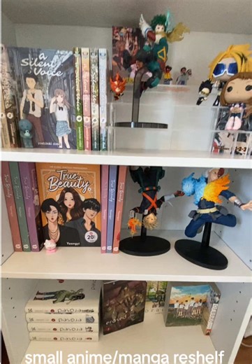 Small Anime and Manga Reshelf