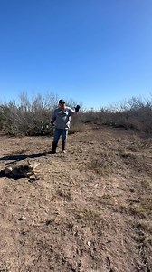 8.7K views · 251 reactions | Coyote catch and location explained | Dunlap LURES | Facebook