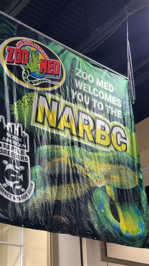 3.3K views · 49 reactions | This is the origin story of @narbc Tinley...