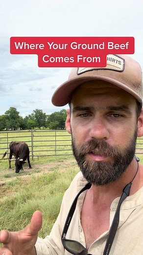 Exploring Regenerative Agriculture and Beef Farming in East Texas