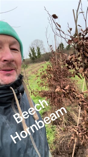 #0868163914whatsapp #sunshine ##trees ##