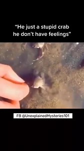Misunderstood. Crabs have very deep emotion and often have romantic partners and many friends throughout their life.⁣⁣ Video by Unexplained Mysteries #trending #OMG #viral #video #viralreels #viralvideo #Real #realestateagent #viralpost #viralshorts #viralpage #trend #trendingreels #trendingnow #fyp #fypシ #shorts | Unexplained Mysteries