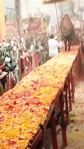 dikra nei koye baat thad na tha #bochar madli maa bareja dham 🙏