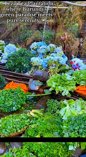 102K views · 4.1K reactions | Aha nihe ?,,,follow Iwacu Magazine | Iwacu Magazine | Facebook