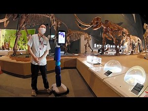 コロナで加速「アナタノカワリ」 遠隔操作で博物館内を巡るロボット「ｎｅｗｍｅ」