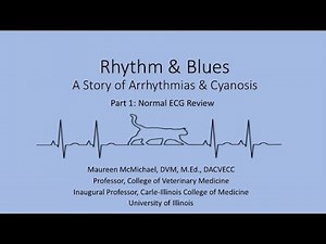 Rhythm & Blues: Part 1, Normal ECG
