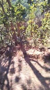 Adventure Trip | Adventure | Satpuda Adventure |