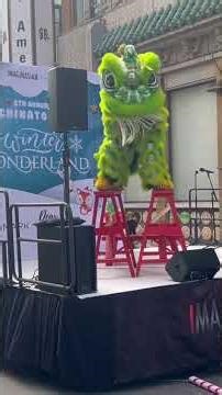 STUNNING LION DANCE on GRANT AVE SF CHINATOWN