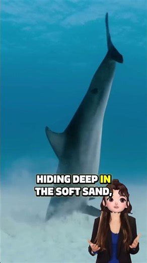 This Dolphin Hunts by Diving Face-First Into Sand 😮🐬