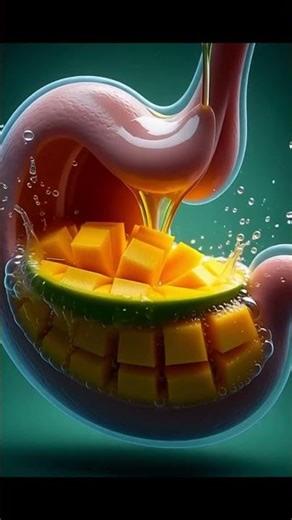 “Inside the Body: How Mango Supercharges Your Organs!”