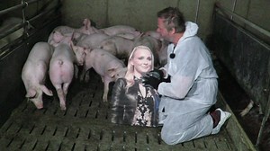 183K views · 1.2K reactions | Am 25. September wird im Parlament, auf...