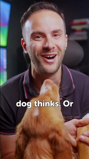 I found the best content scheduling tool and it is so cheap that it is a steal