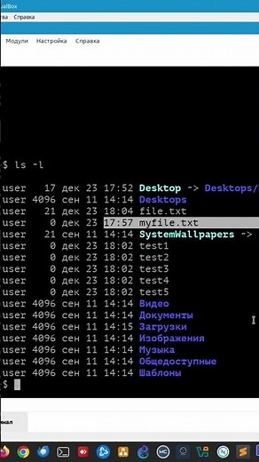 Repeating the last access timestamp of a file via touch. #linux #linuxcommandlinetutorial