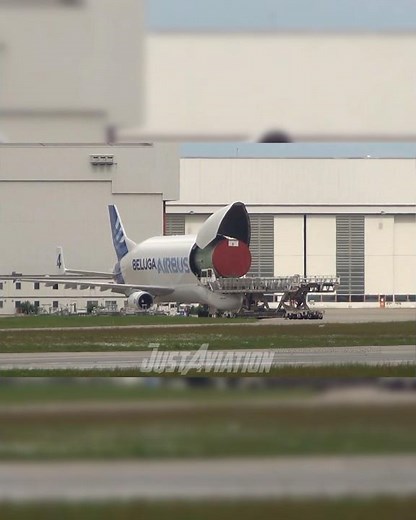 Airbus Beluga is hungry😂😭