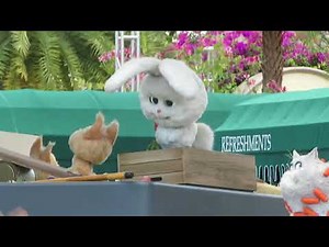Secret Life Of Pets Parade