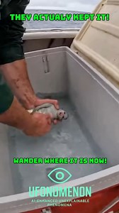 These fishermen caught this baby mermaid and kept it! #mermaid #baby #siren #mermaids #fantasy | Ufonomenon