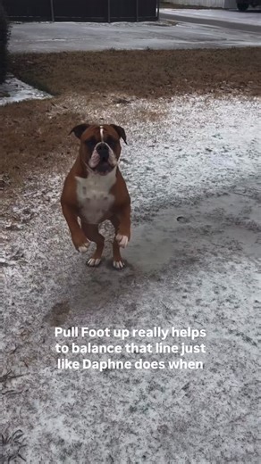 RunRx | Learn to run pain free on Instagram: "Standing supported single leg hip openers and hinges! Great way to increase range of motion, balance and strength for your run. Use a support like a bench, to hold your lifted leg, and wall to first lean back and open hip. Then hinges, make sure to lead with hip. During run, a stable hip helps hold pose on ground, while range of motion increases your stride length! ✅out the free 3-2-1 Run on the app to get started or join the coaching membership: run