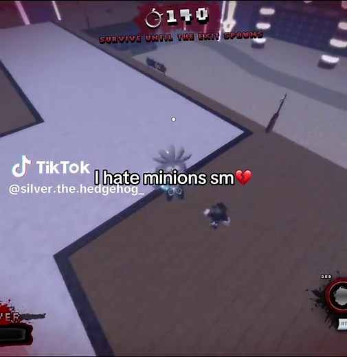 ☆Silver T. hedgehog☆ on TikTok