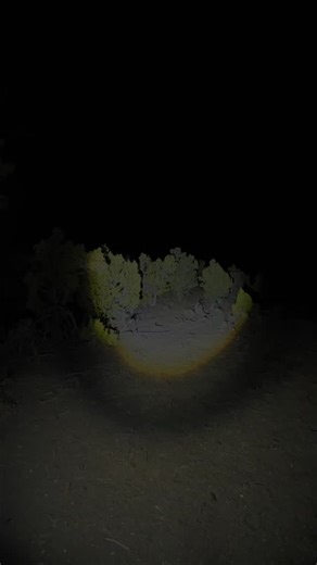 Psionic UFO Summoning - Night Watch Part 1 - The night begins with an unscripted conversation about what Psionic UAP contact involves with @carlcrusher @psionicasset at the @thunder_strike_ranch sky watching platform. with @j2psionics as remote support . #travel #ufo #uap #psionics #skywatcher #history #documentary #skinwalker | The Crusher Crew