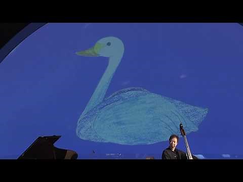 動物の謝肉祭～白鳥(Carnival of animals～Le cygne/Saint-Saens)東京藝術大学COIワークショップ「音と光の動物園」より 「小学生の音楽鑑賞・表現」収録映像