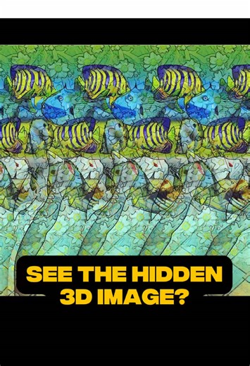 Discover the Secrets of Hidden 3D Images