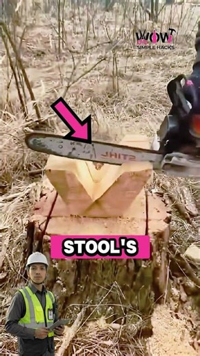 Tree Stump Becomes Stool 🛠️😲