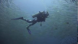 Hula hoop #oceanreality | Ocean Reality Channel