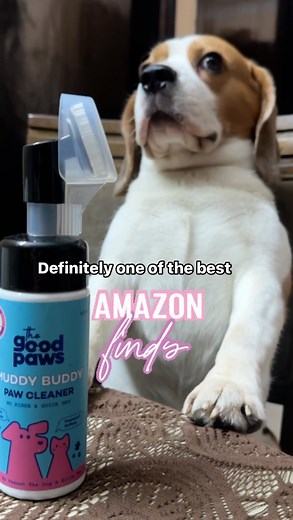 Doodle the beagle | This has to be one of the best Amazon finds I have always taken care of Doodle’s hygiene but with the baby coming I have to be more... | Instagram