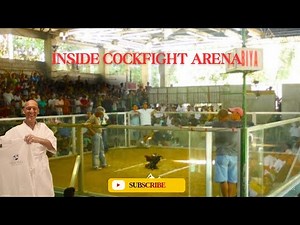 Inside Cockfighting in Valencia, Negros Philippines – Shocking Traditions | Franks World