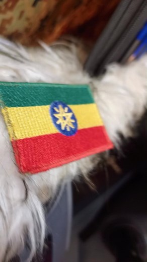 Ethiopia Art Commando Dance TikTok Video