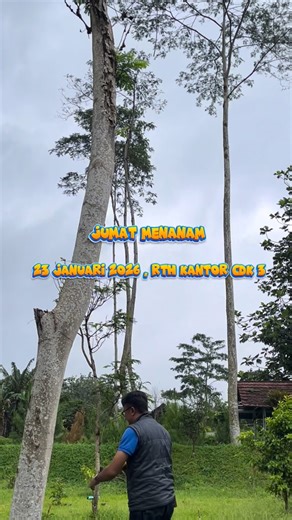 CDK WILAYAH III PROV. JABAR | (23/01/26) Jumat menanam hari ini cdk 3 menerima lagi sumbangan bibit dari salah satu pegawai bapa Max Gumilar yg ikut mensukseskan edaran... | Instagram