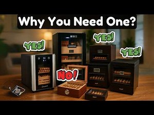 5 Best Cigar Humidors 2025 – From Budget to High-End Options!