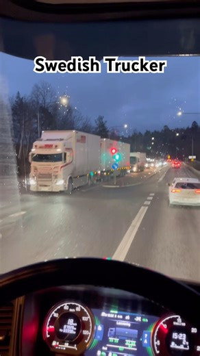 Swedish Trucker short video ❤️🇸🇪
