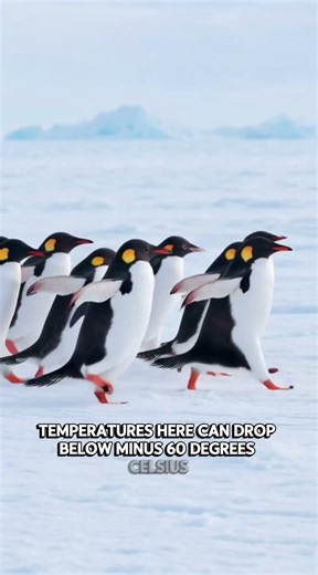 Antarctica — The Coldest Place on Earth