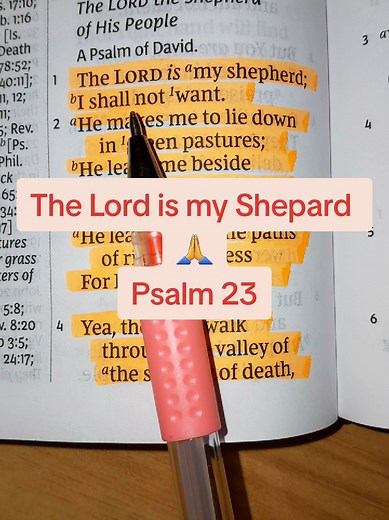 Understanding Psalm 23: The Lord is My Shepherd