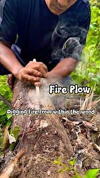 Digging fire from within the wood #firemaking #bushcraft #primitivefirelighting #survival