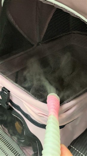 ⑥グリーンイグアナのしゅんちゃんの治療、吸入療法、酸素療法