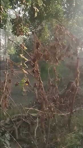 The word go✅️♥️♥️##&&