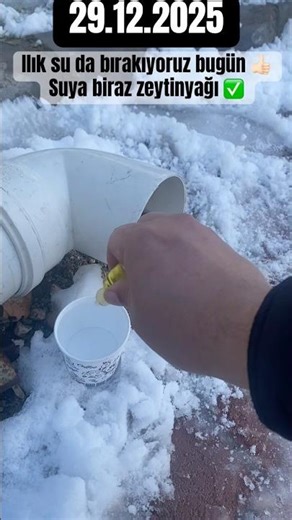 29.12.2025; Bugün de besledik 🐾Her gün devam Abone ol #shorts #sokakhayvanları #kedi #cats #cat